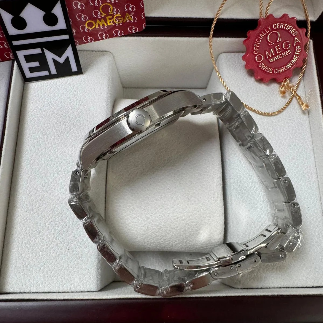 Omega Seamaster Aqua Terra Silber