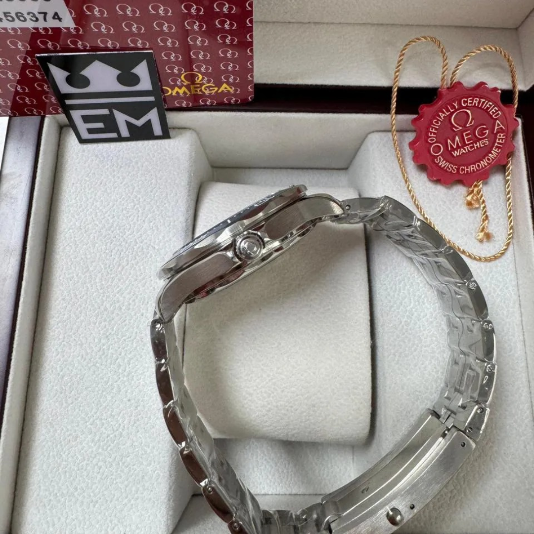 Omega Seamaster Professional – Blau/Stahl