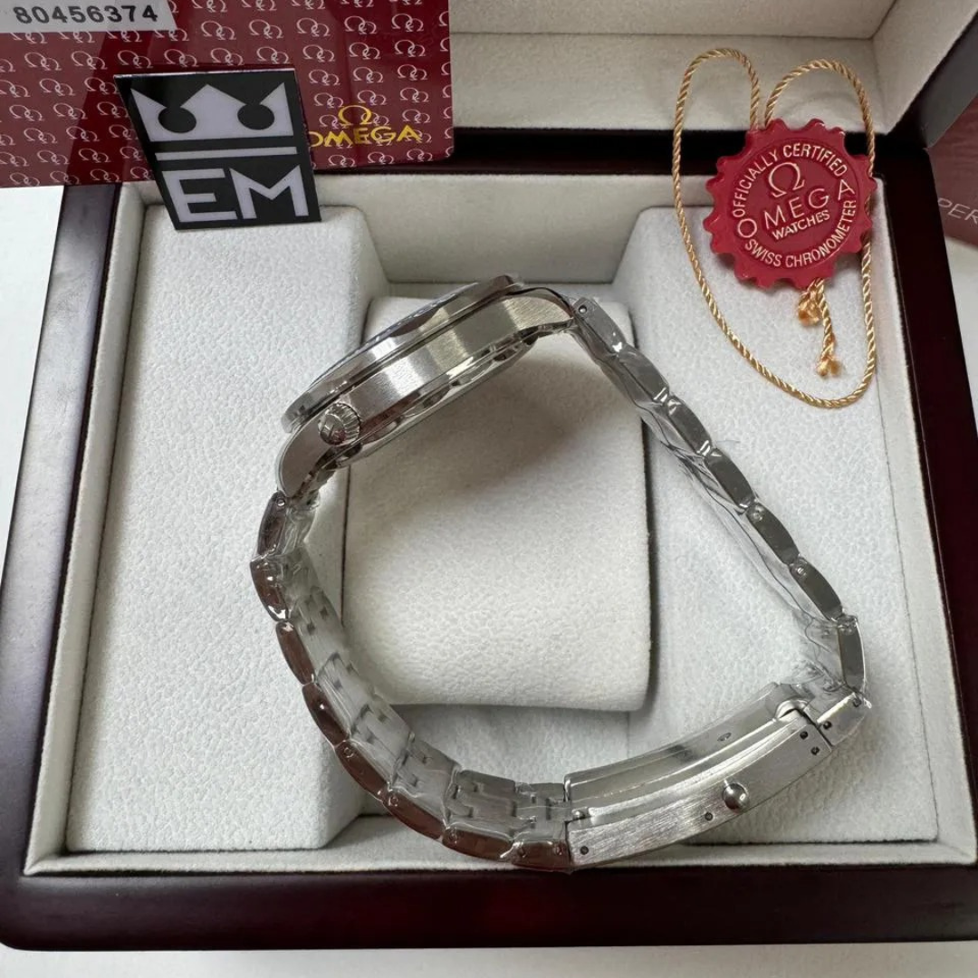 Omega Seamaster Professional – Grau/Blau