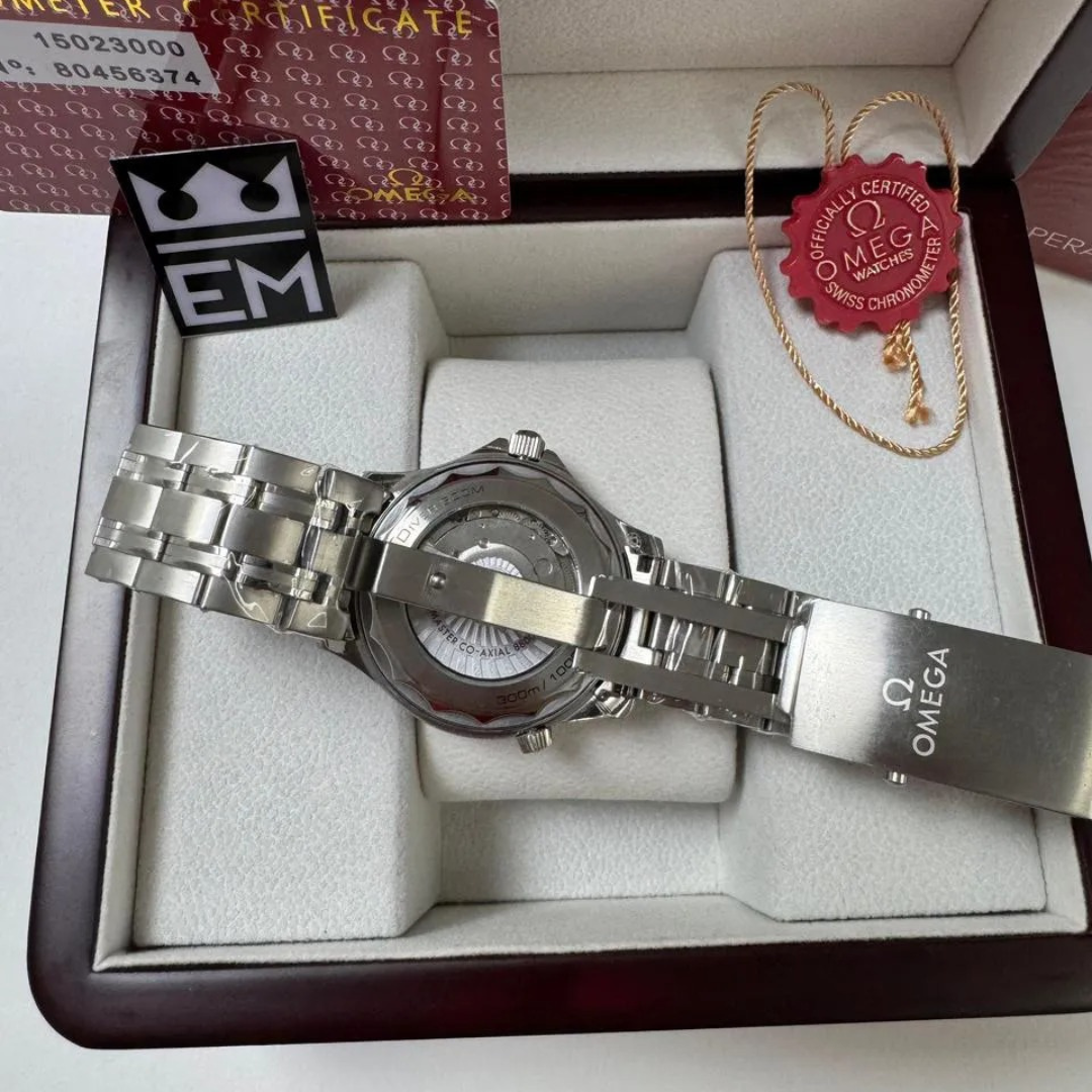 Omega Seamaster Professional – Blau/Stahl